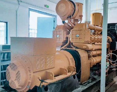 廣東石化項目（600kw1000轉(zhuǎn)6極發(fā)電機）
